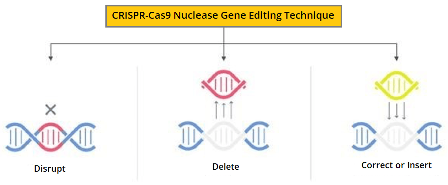 Ash 2020 Crispr Cas9 Gene Editing Technique May Cure Sickle Cell Disease And Beta Thalassemia 1486