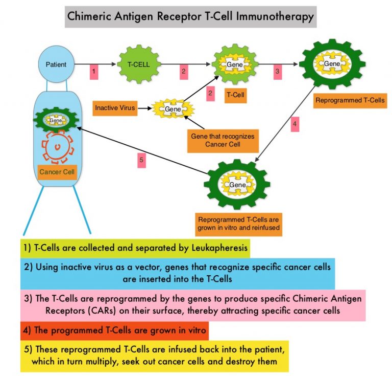 FDA Approves Anti-BCMA CAR T-Cell Therapy For Relapsed Or Refractory ...