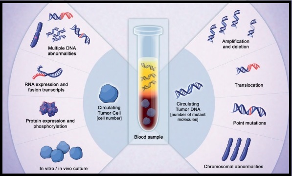 circulating-tumor-dna-as-a-biomarker-in-advanced-colorectal-cancer