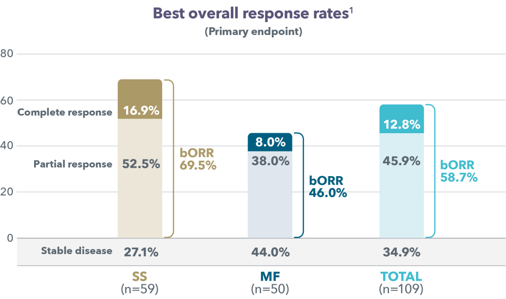 Best-ORR-Primary-Endpoint